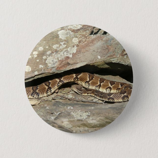 Rattlesnake at Shenandoah National Park 6 Cm Round Badge (Front)