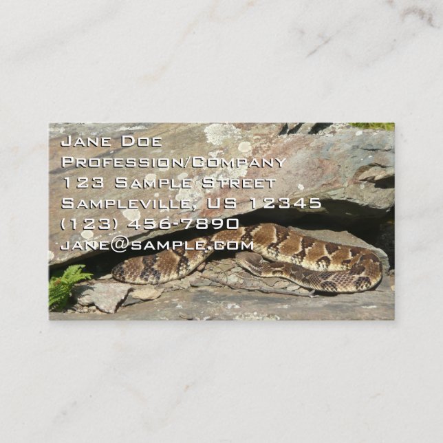 Rattlesnake at Shenandoah National Park Business Card (Front)