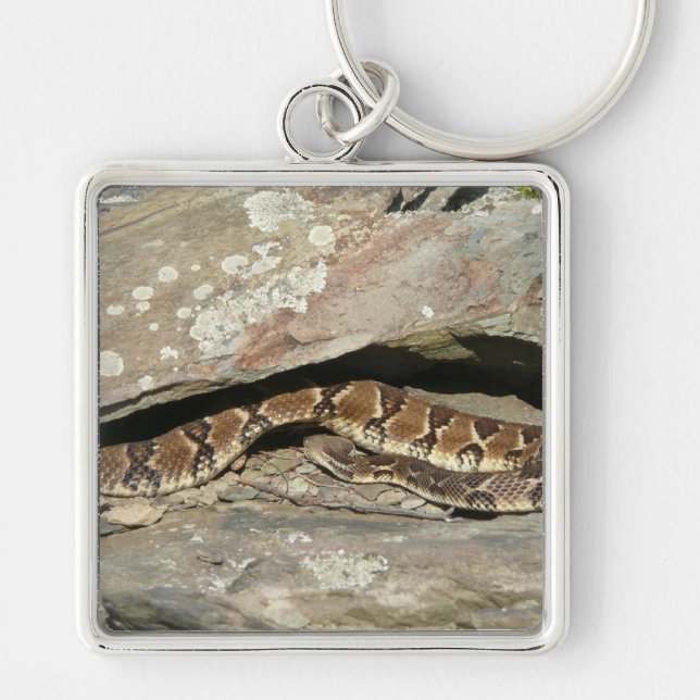 Rattlesnake at Shenandoah National Park Key Ring (Front)