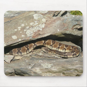 Rattlesnake at Shenandoah National Park Mouse Pad