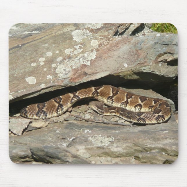 Rattlesnake at Shenandoah National Park Mouse Pad (Front)