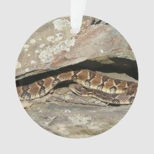Rattlesnake at Shenandoah National Park Ornament