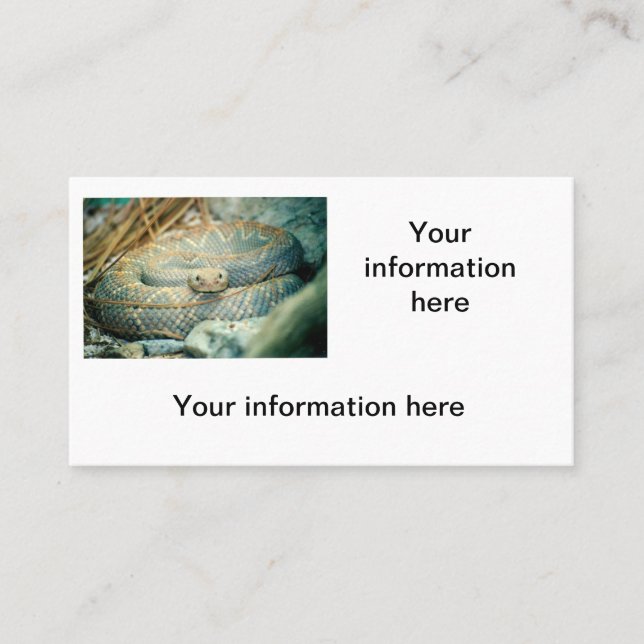 Rattlesnake Business Cards (Front)