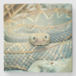 Rattlesnake Drink Coaster