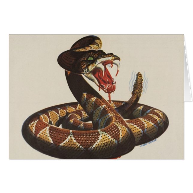 Rattlesnake Greeting/Note Card (Front Horizontal)