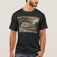 Rattlesnake photo