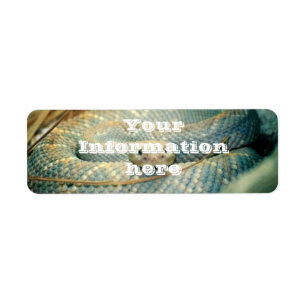 Rattlesnake Return Address Label