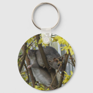 Ratty cuddles Keychain