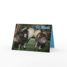 Ratty smiles Mother's Day Card