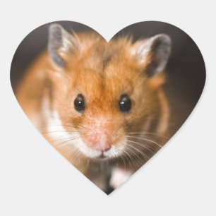 Ratty the hamster heart sticker