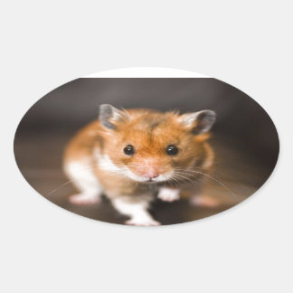 Ratty the hamster oval sticker
