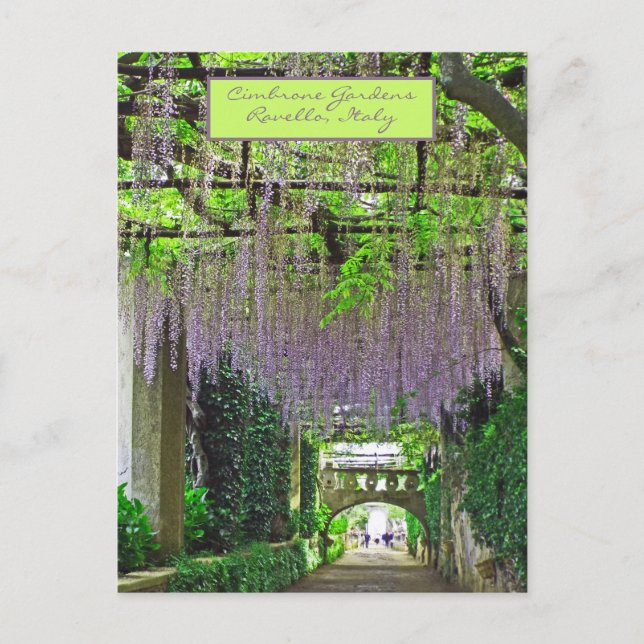RAVELLO,ITALY/CIMBRONE GARDENS/CASCADING WISTERIA POSTCARD (Front)