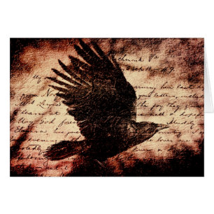 Raven 7
