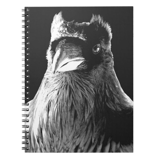 Raven Art Notebook Crow Art Journal Book (Front)