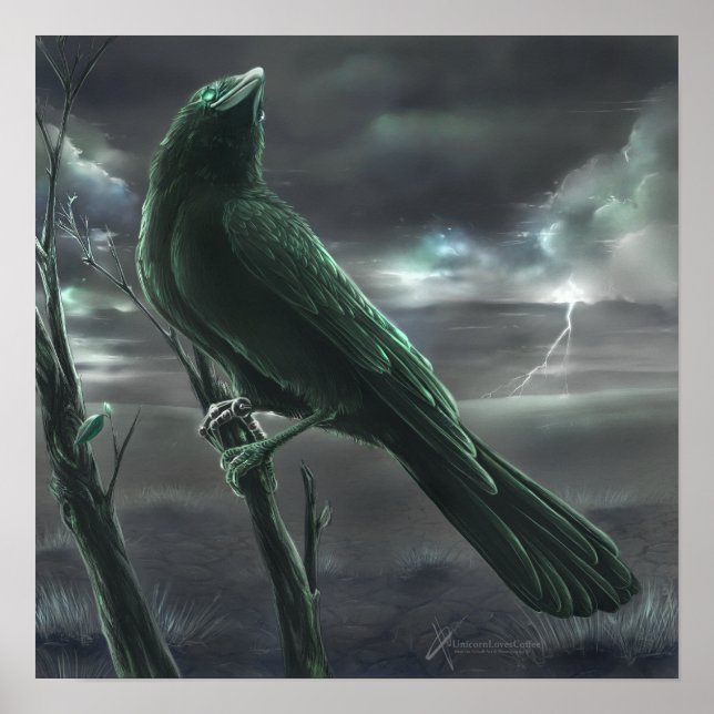 Raven bot poster (Front)