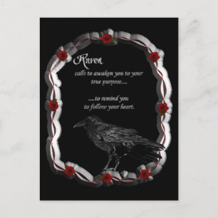 Raven Calling Postcard