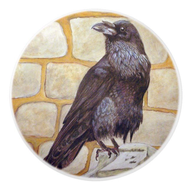 Raven Ceramic Knob (Front)