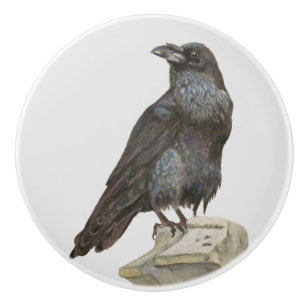 Raven Ceramic Knob