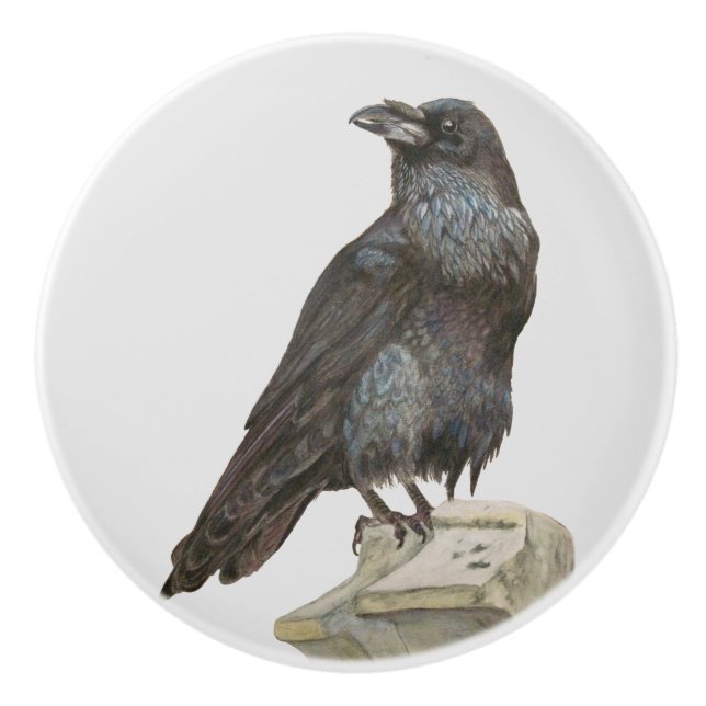 Raven Ceramic Knob (Front)