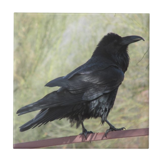 Raven Ceramic Tile (Front)