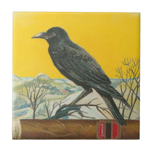 Raven Ceramic Tile