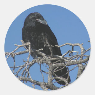 Raven Classic Round Sticker