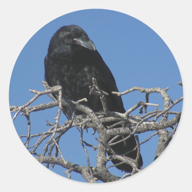Raven Classic Round Sticker (Front)