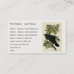 Raven (Common Raven) from Audubon Birds of America Business Card