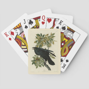 Raven (Common Raven) from Audubon Birds of America Playing Cards
