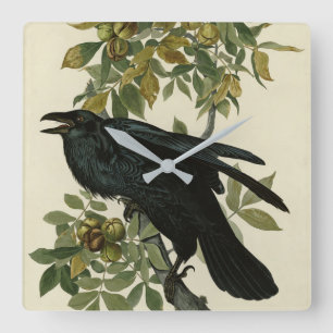 Raven (Common Raven) from Audubon Birds of America Square Wall Clock