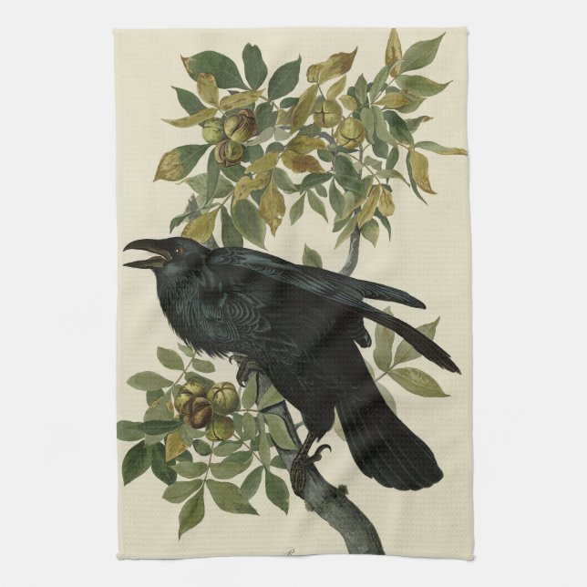Raven (Common Raven) from Audubon Birds of America Tea Towel (Vertical)