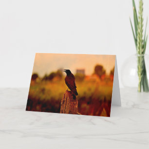 Raven crow at sunset holiday card