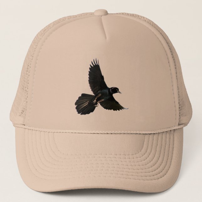 Raven Crow bird flying Hat (Front)