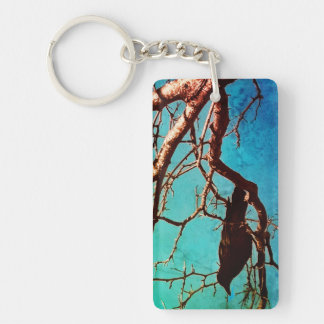 Raven Crow Black Bird Silver Tree Blue Sky Photo Key Ring