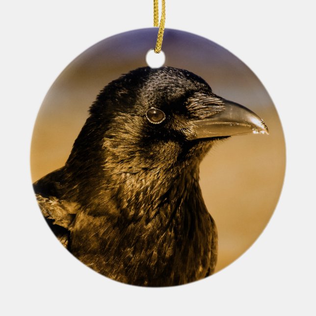 Raven Crow Gothic Fantasy Black Bird Nature Ceramic Ornament (Front)