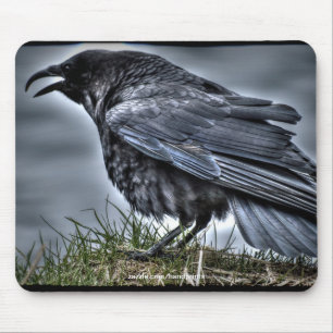 Raven Crow Wildlife Bird Raven-Lover Mouse Pad