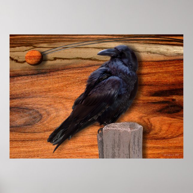 RAVEN ECLIPSE POSTER (Front)