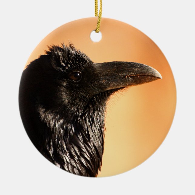 raven face ceramic ornament (Front)