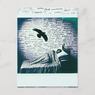 Raven Flies Over man Asleep Postcard