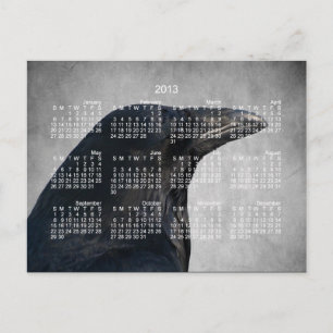 Raven Glamour Shot; 2013 Calendar Postcard