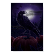 Raven in Pumpkin Patch Poster
