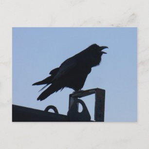 Raven in Silhouette, Unalaska Island Postcard
