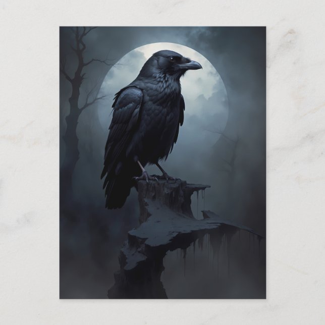 raven in the dark night postcard (Front)