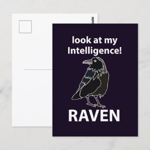 Raven Look At My Intelligence Raven Postcard
