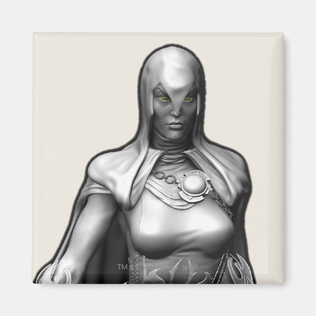 Raven Magnet (Front)