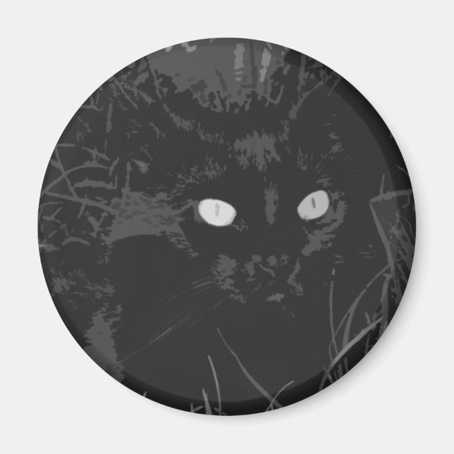 raven magnet (Front)