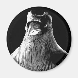 Raven Magnets Native Spirit Animal Fridge Magnet