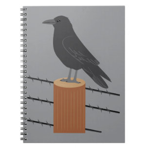 Raven Notebook
