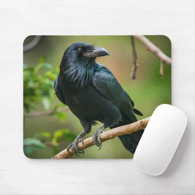 Raven on a Tree Branch Mouse Pad (With Mouse)