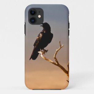 Raven on Sunlit Tree Branches, Grand Canyon iPhone 11 Case